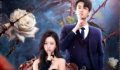 The Silent Wife 2024 Çin