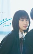 Strobe Edge 2025 Japon