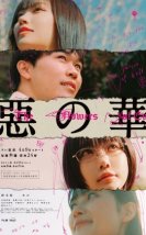 The Flowers of Evil 2026 Japon