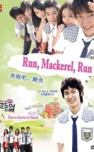 Mackerel Run 2007 Kore
