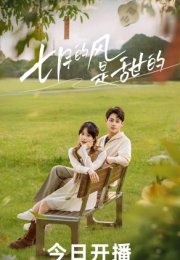 Love Blossoms with the Wind 2025 Çin