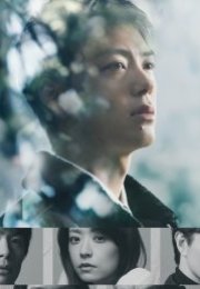 Silent Truth 2026 Japon