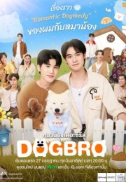 DogBro 2026 Tayland