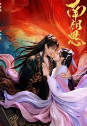 Fate beyond Script 2026 Çin