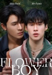Flower Boy 2026 Tayland