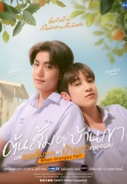 When Oranges Fall 2026 Tayland