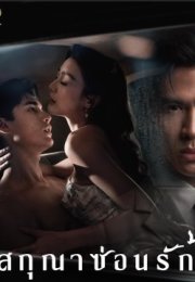 Whisper of Desire 2026 Tayland