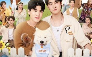 DogBro 2026 Tayland