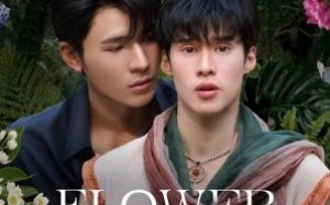 Flower Boy 2026 Tayland