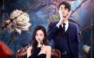 The Silent Wife 2024 Çin