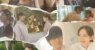 Love: Track 2025 Kore